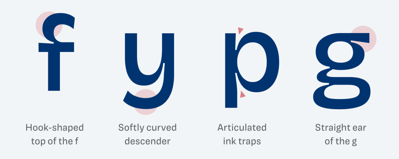 Hook-shaped top of the small “f”, softly curved descender of the small “y”, Articulated ink traps shown at the “p”, the straight ear
of the lower case “g”