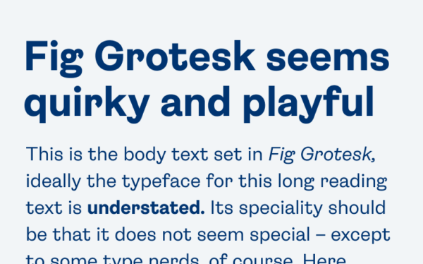 Fig Grotesk seems quirky and playful