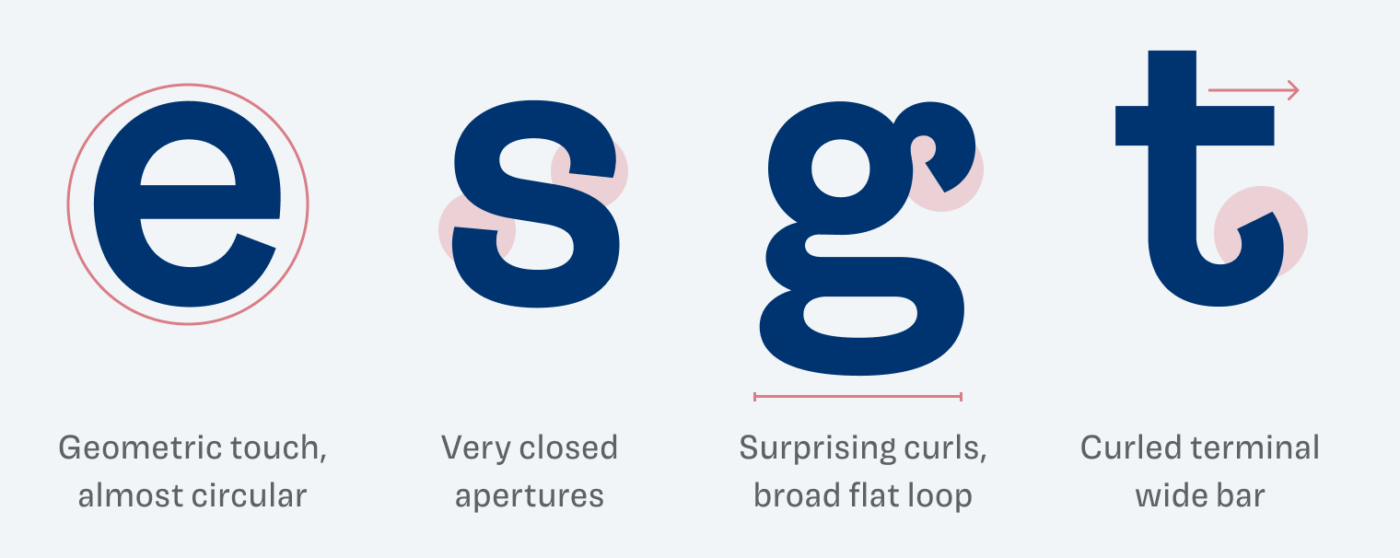 Lower case e with a geometric touch, almost circular. Lower case s has very closed apertures. The double story lower case g shows surprising curls at the ear and a broad flat loop. The lower case t shows a curled terminal and a wide bar.