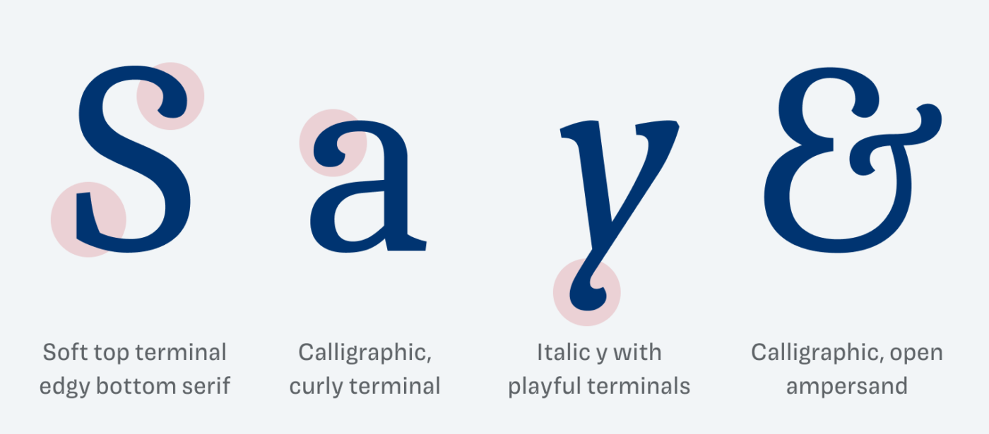 The uppercase S with a soft top terminal, edgy bottom serif. Lower case a with a calligraphic, curly terminal. Italic y with
playful terminals. Calligraphic, open
ampersand
