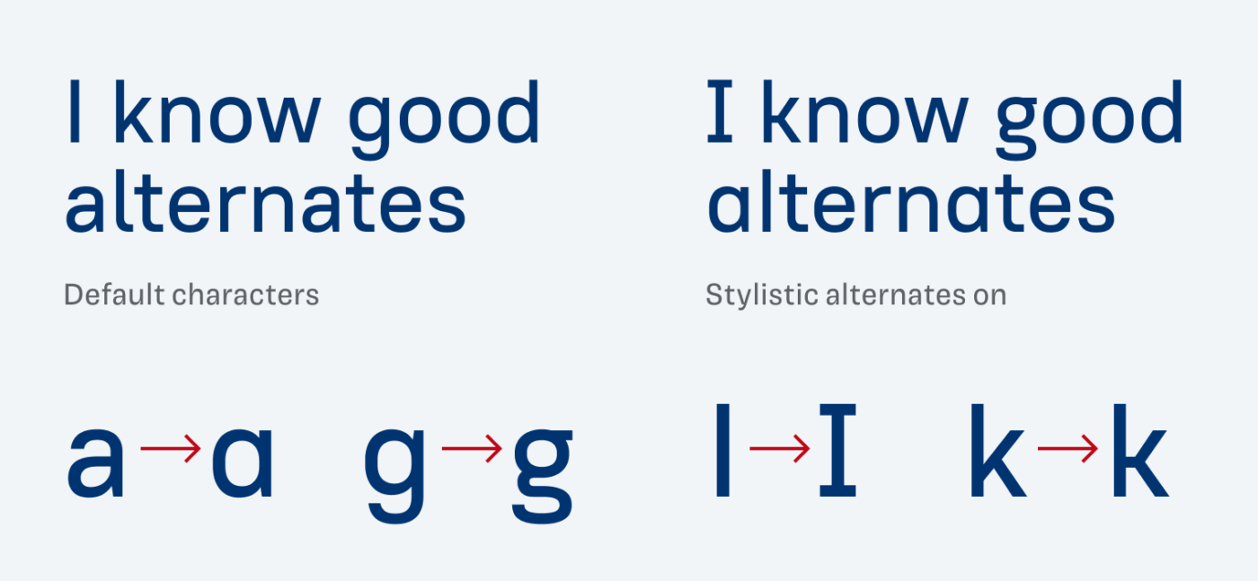 I know good alternates. From Double story to single story “a“ and “g”, upper case “I“ with serifs and the “k” with a horizontal bar.