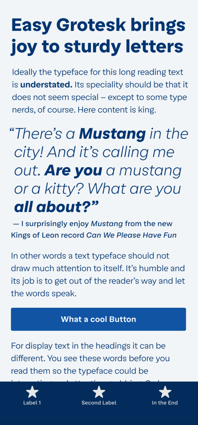 Easy Grotesk brings joy to sturdy letters. The sans-serif typeface Easy Grotesk shown on a mobile phone in the headline, body text and bottom navigation. A big pull quote in the middle shows a part of the lyrics from the song Mustang by the Kings of Leon’s new record “Can we please have fun”: “There’s a Mustang in the city! And it’s calling me out. Are you a mustang or a kitty? What are you all about?”