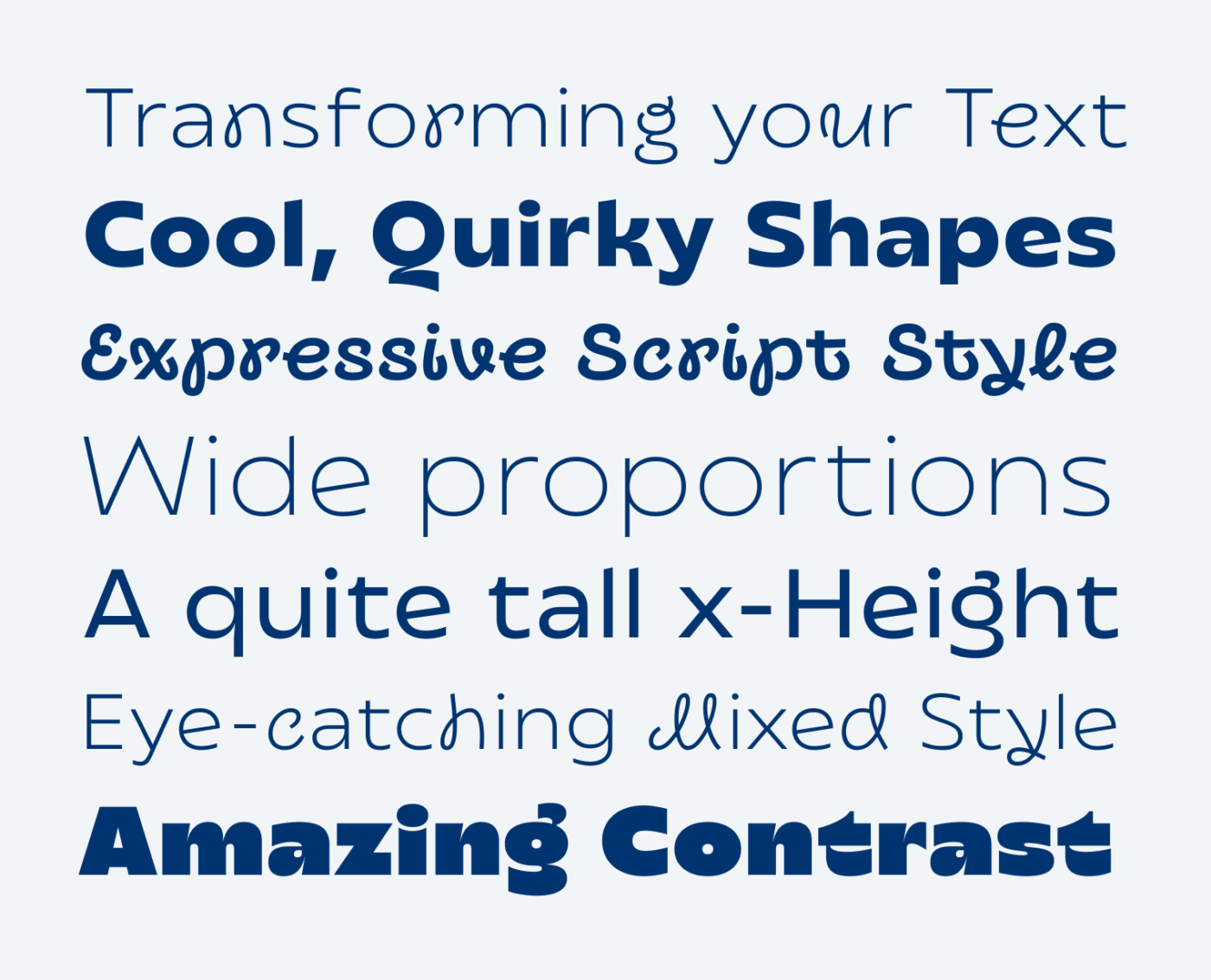 Transforming your Text Cool, Quirky Shapes Expressive Script Style Wide proportions A quite tall x-Height Eye-catching Mixed Style Amazing Contrast